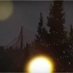 【タルコフ攻略】Disrupting the Party の進め方