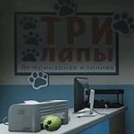 【タルコフ攻略】Pets Won’t Need It – Part 1 の進め方