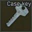 Case key icon
