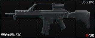Escape from Tarkov Wiki より