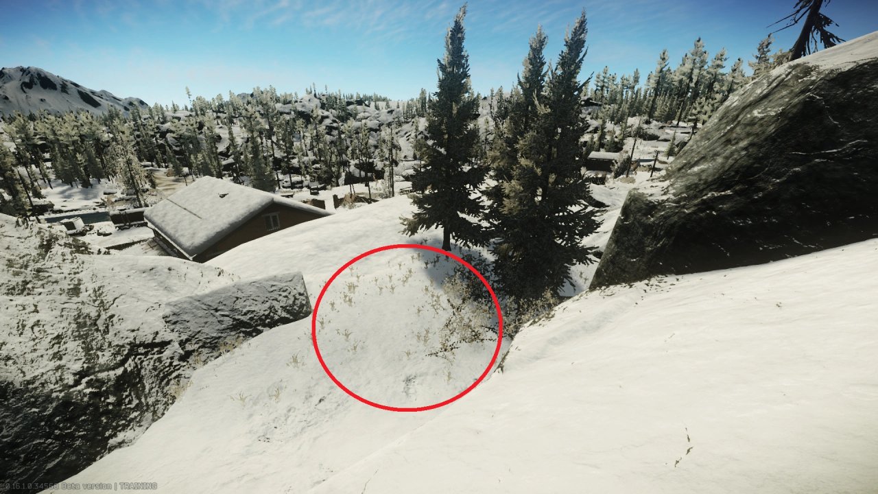Escape from Tarkov Wiki より