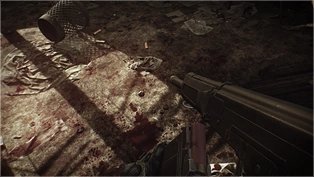 Escape from Tarkov Wiki より