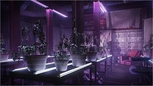 Escape from Tarkov Wiki より