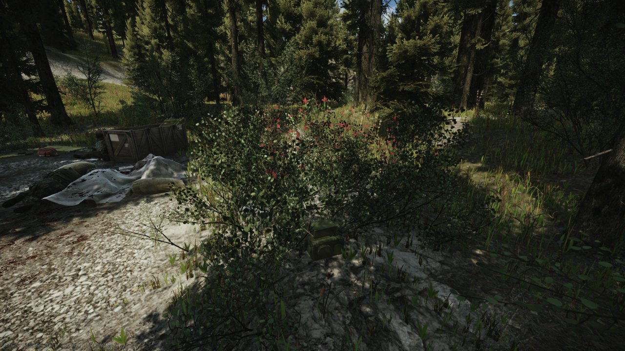 Escape from Tarkov Wiki より